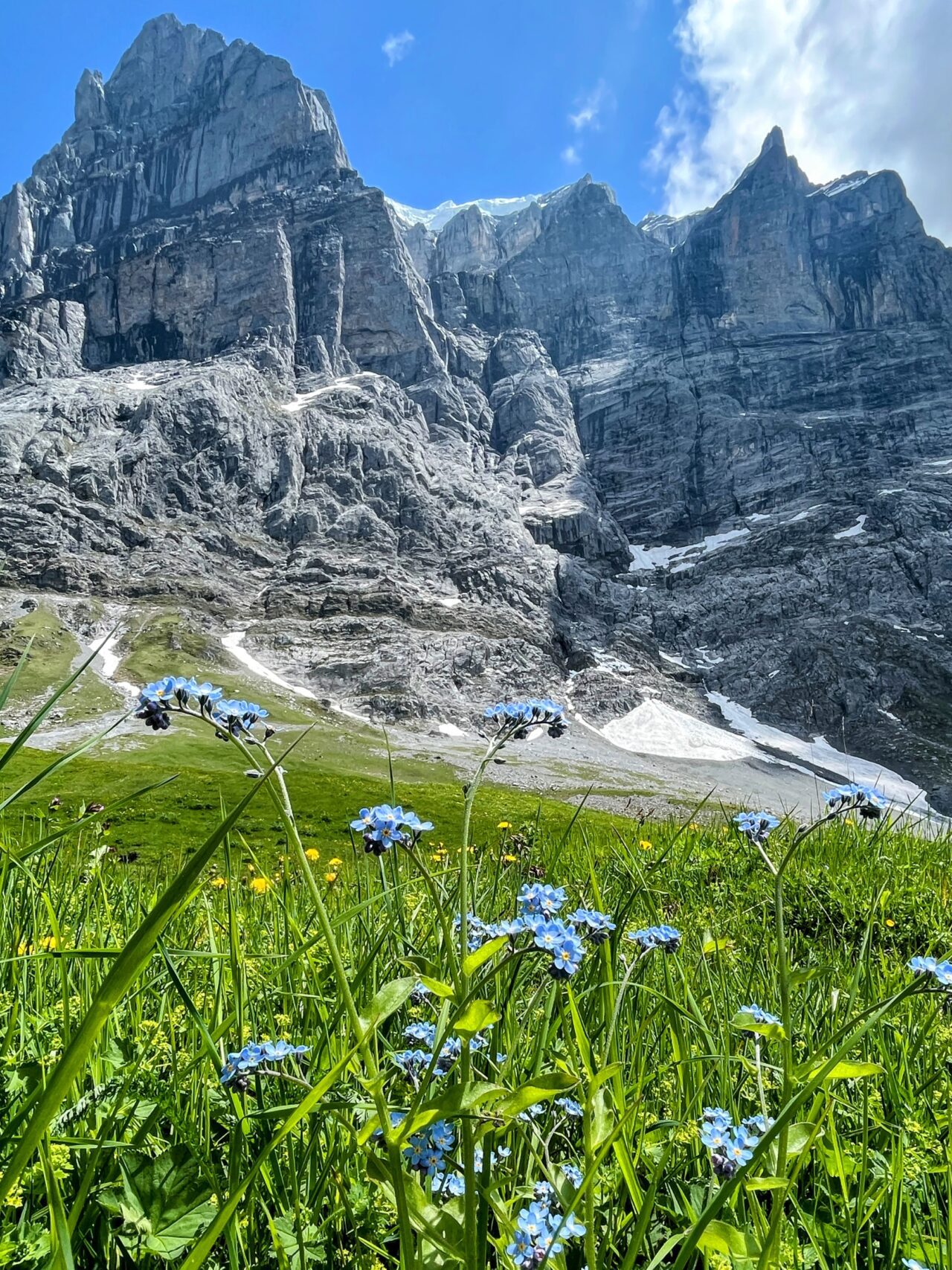 wanderung_via_alpina_meiringen_grindelwald_