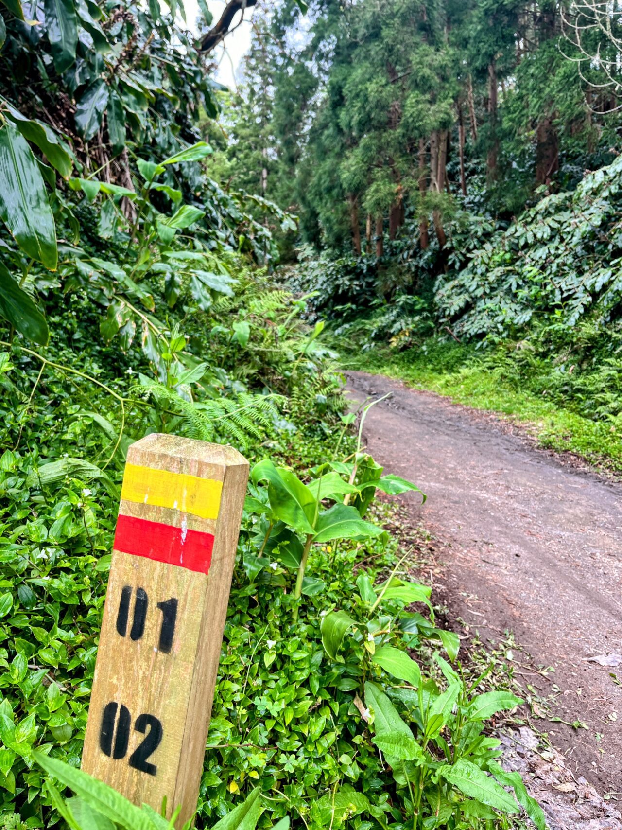 wanderung_agua_do_alta_levada_lagao_do_fogo_