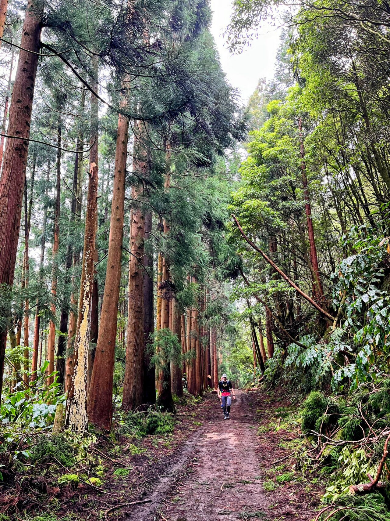 wanderung_agua_do_alta_levada_lagao_do_fogo_