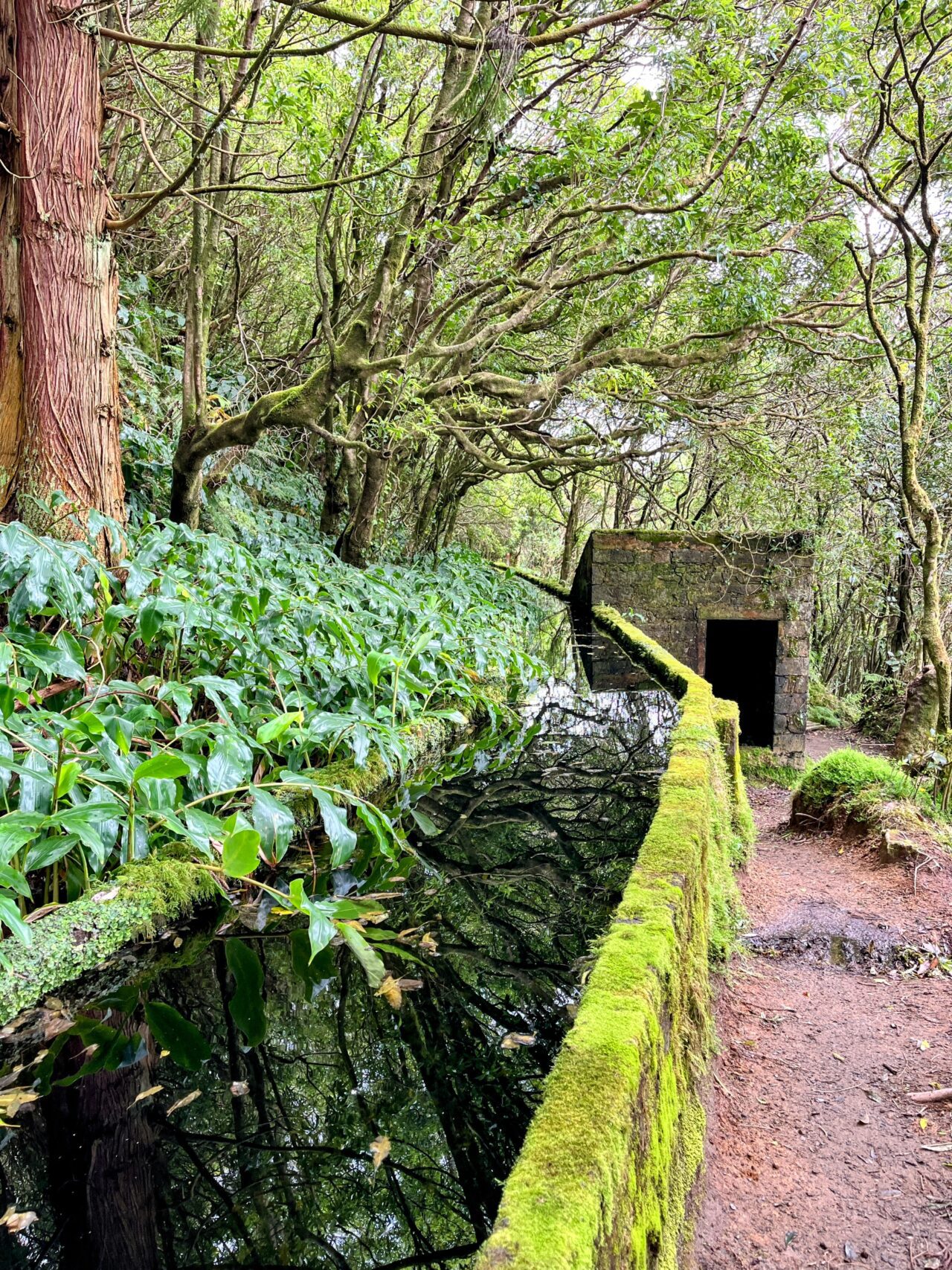 wanderung_agua_do_alta_levada_lagao_do_fogo_