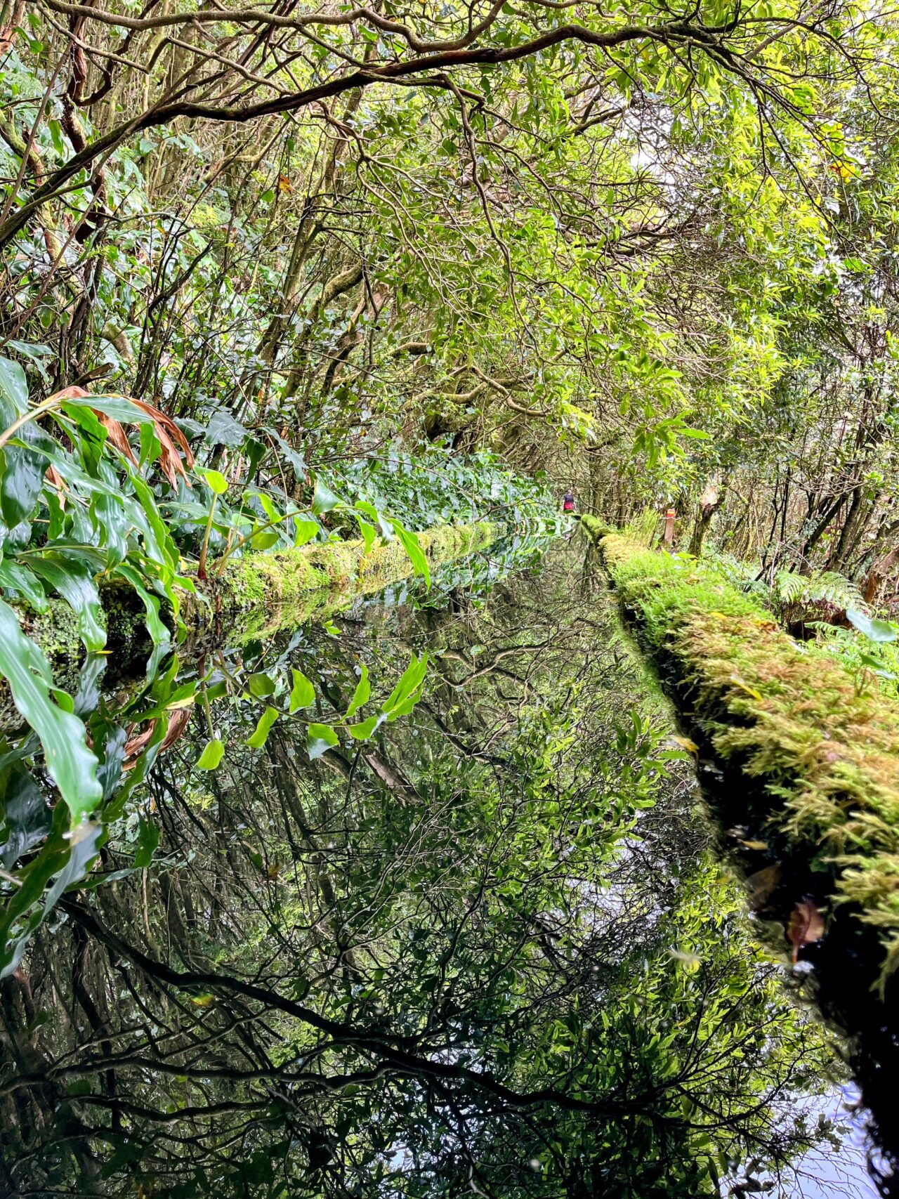 wanderung_agua_do_alta_levada_lagao_do_fogo_