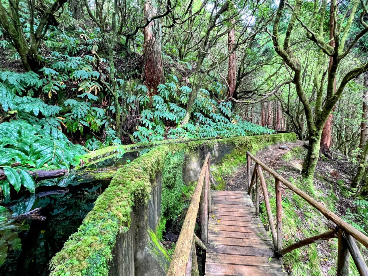 wanderung_agua_do_alta_levada_lagao_do_fogo_