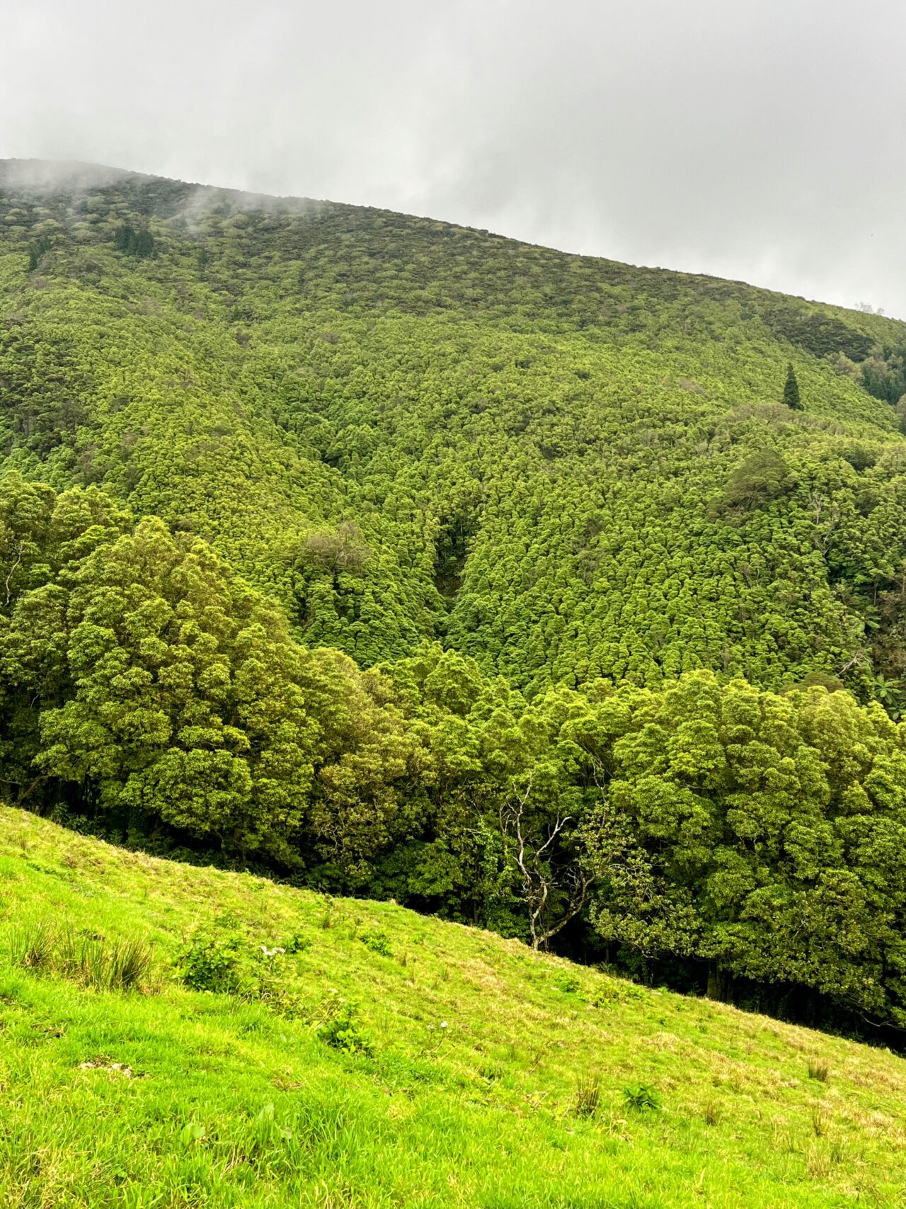 wanderung_agua_do_alta_levada_lagao_do_fogo_