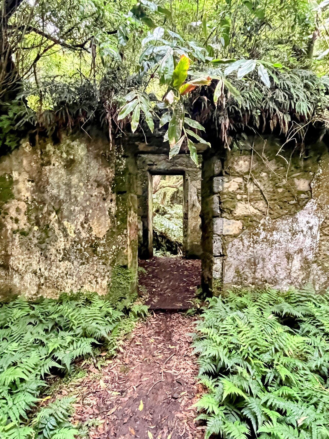 wanderung_agua_do_alta_levada_lagao_do_fogo_