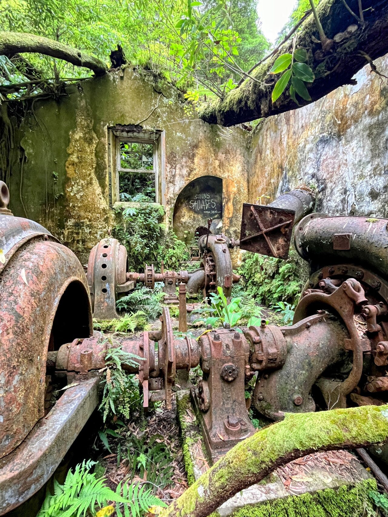 wanderung_agua_do_alta_levada_lagao_do_fogo_