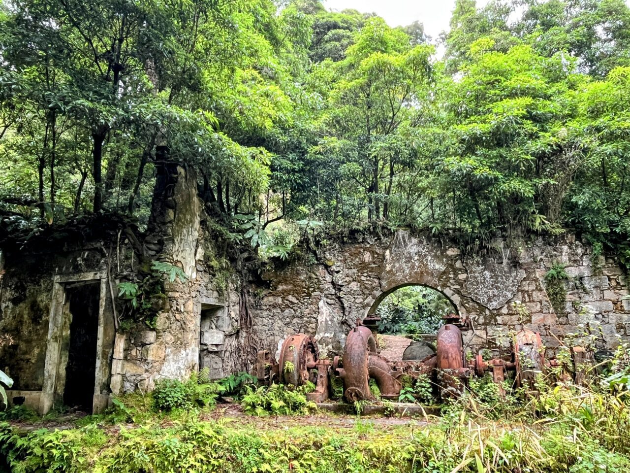 wanderung_agua_do_alta_levada_lagao_do_fogo_