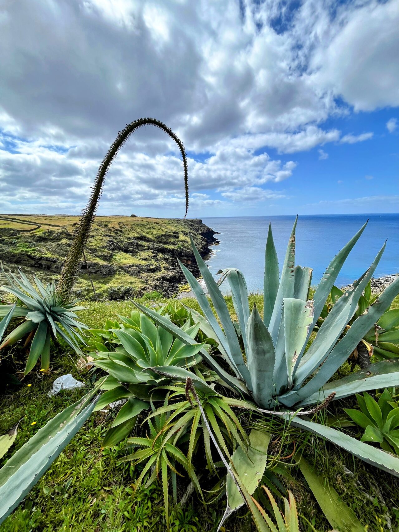 wanderung_ilha_a_pe_tag_1_vila_do_porto_malbusca_