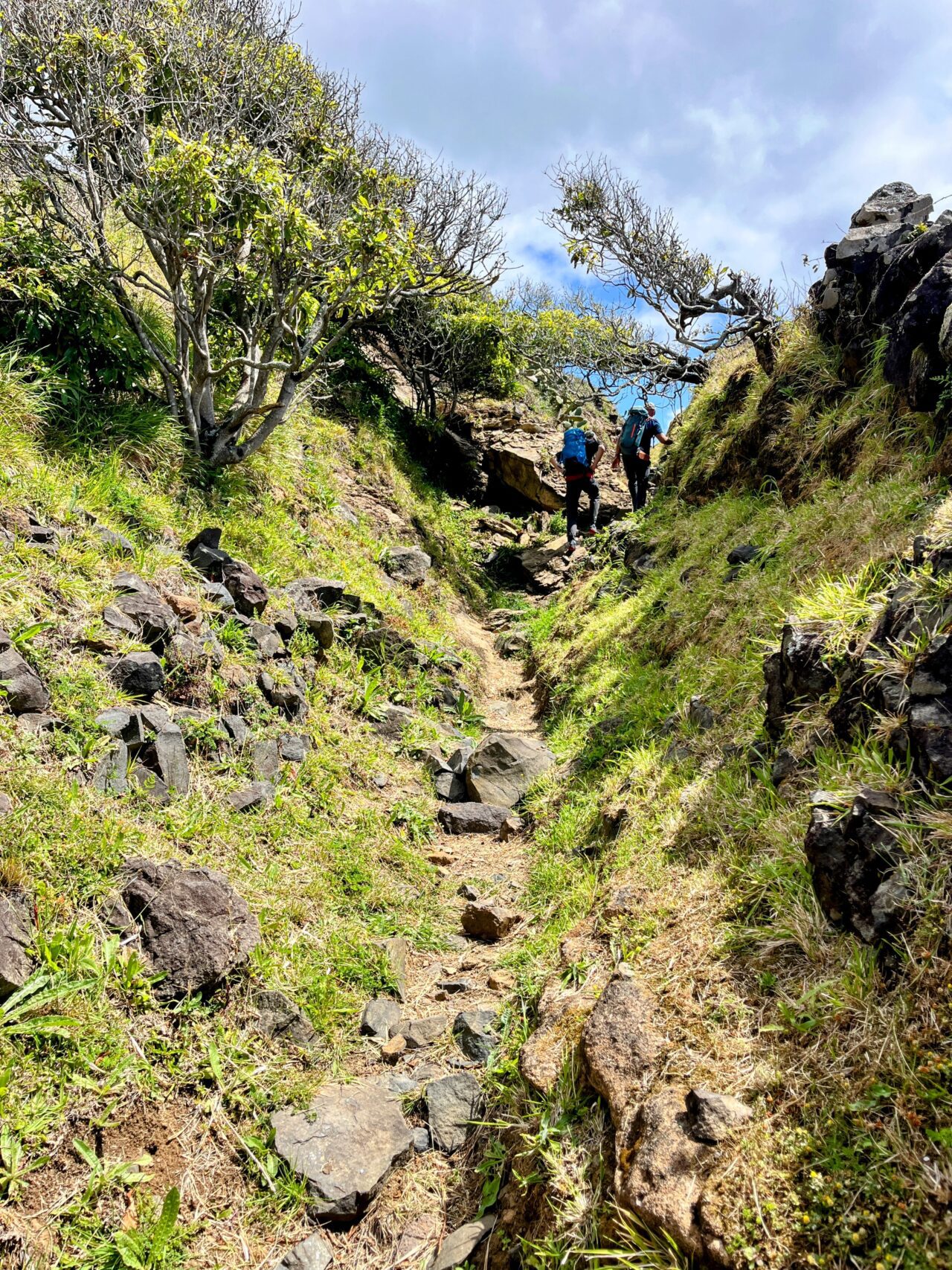 wanderung_ilha_a_pe_tag_1_vila_do_porto_malbusca_