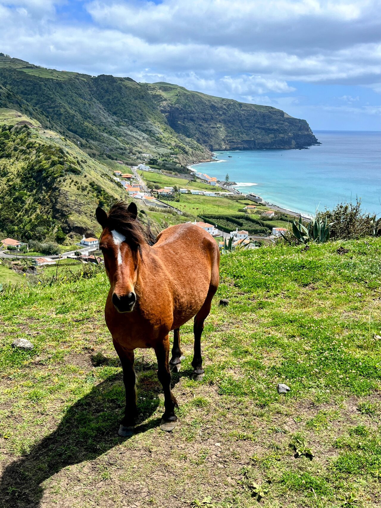 wanderung_ilha_a_pe_tag_1_vila_do_porto_malbusca_