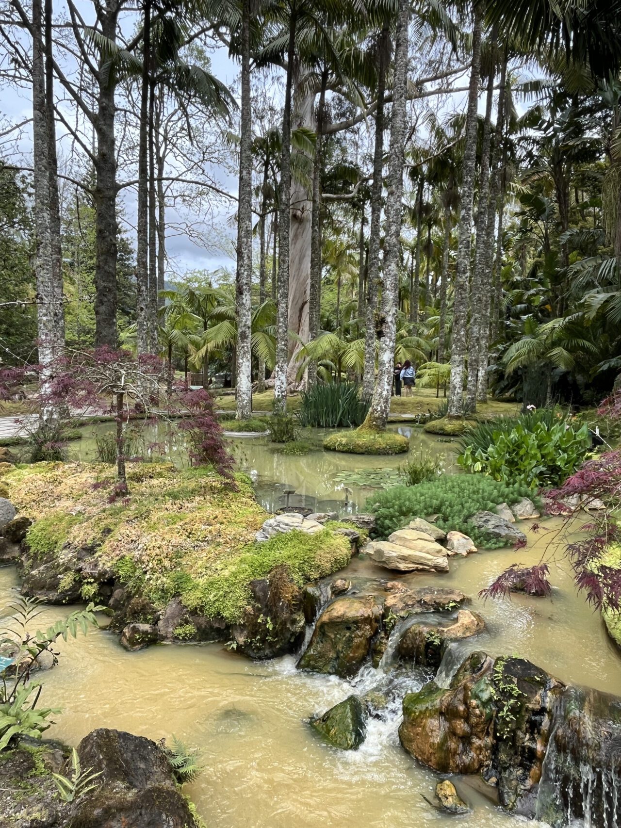 wanderung_terra_nostra_hiking_trail_furnas_