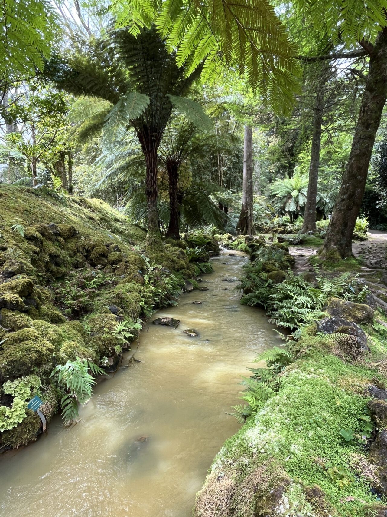 wanderung_terra_nostra_hiking_trail_furnas_