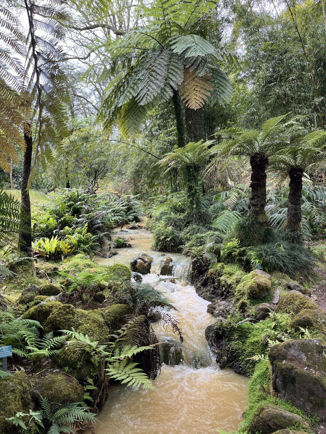 wanderung_terra_nostra_hiking_trail_furnas_