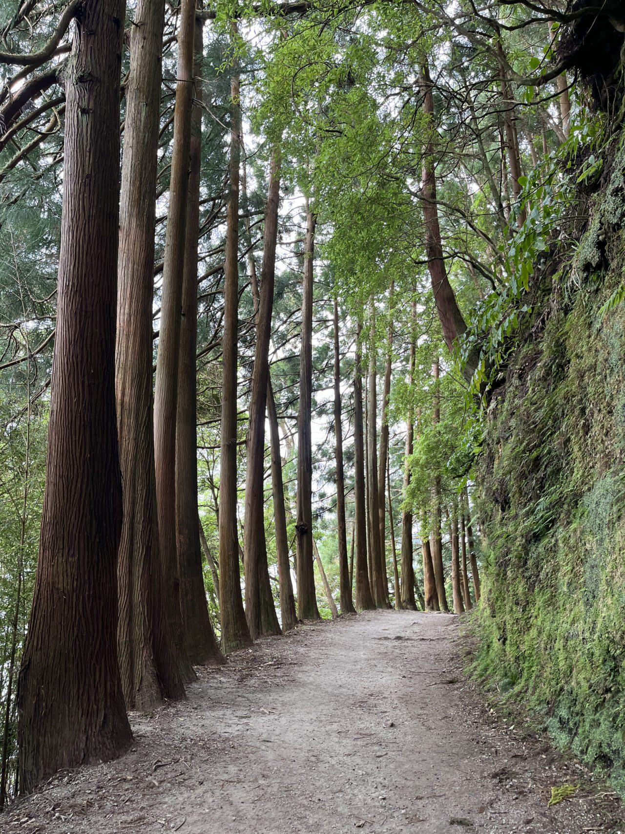 wanderung_rund_um_den_lagoa_das_furnas_PRC06_SMI_