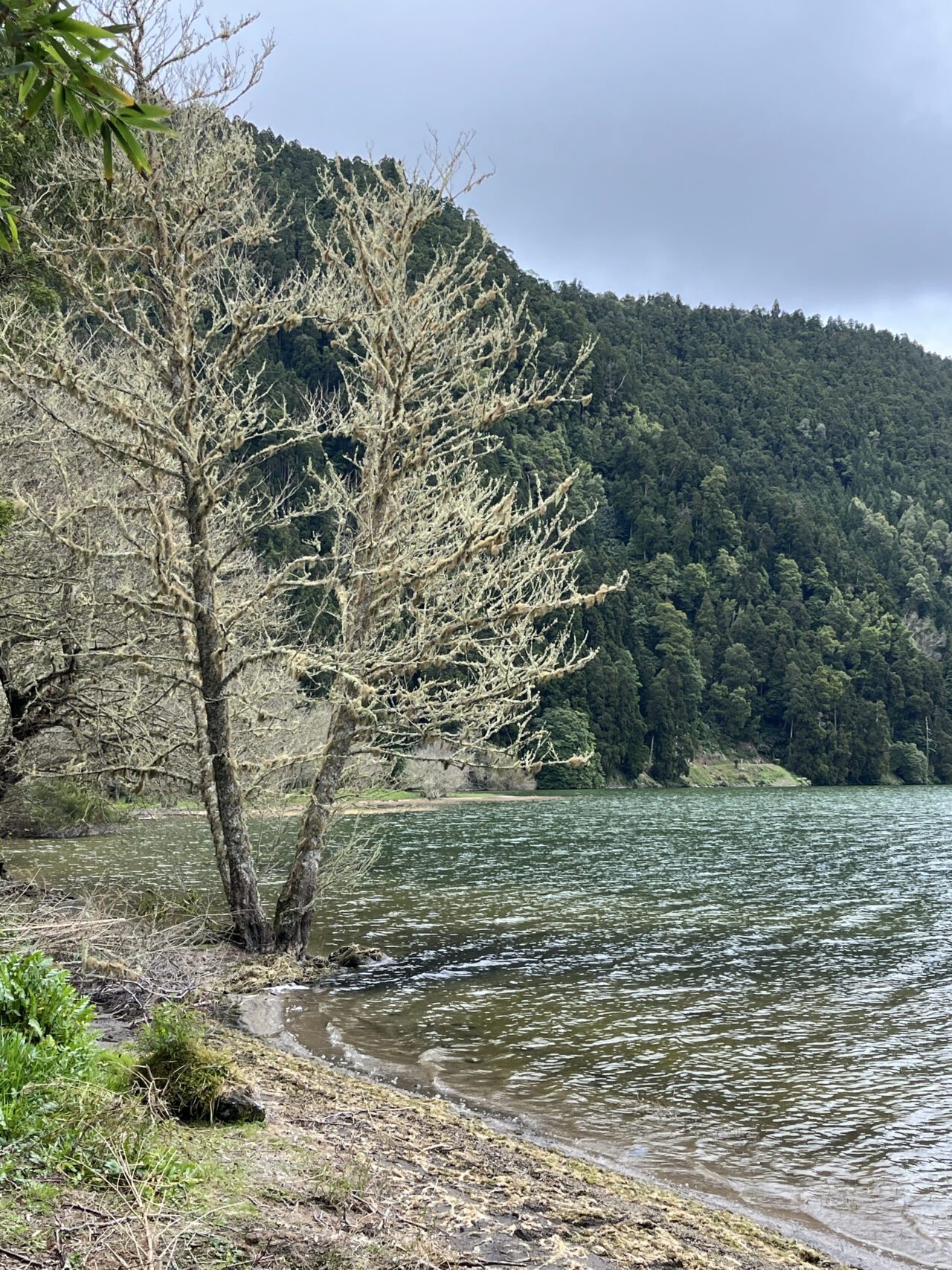 wanderung_rund_um_den_lagoa_das_furnas_PRC06_SMI_