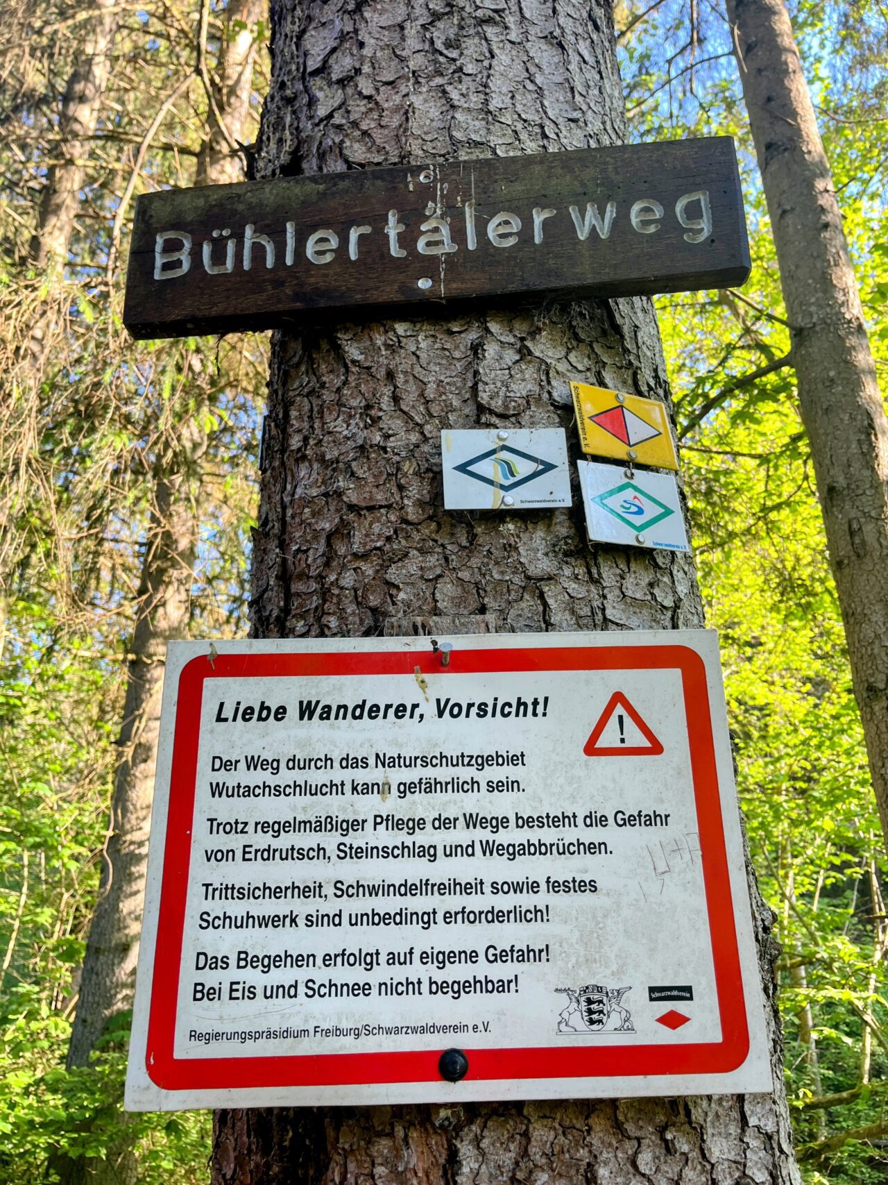 wanderung_schluchtensteig_etappe_2_wutachmuehle_lenzkirch_