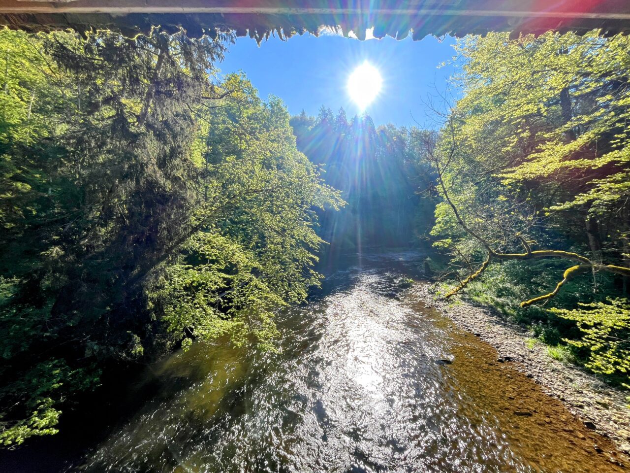 wanderung_schluchtensteig_etappe_2_wutachmuehle_lenzkirch_