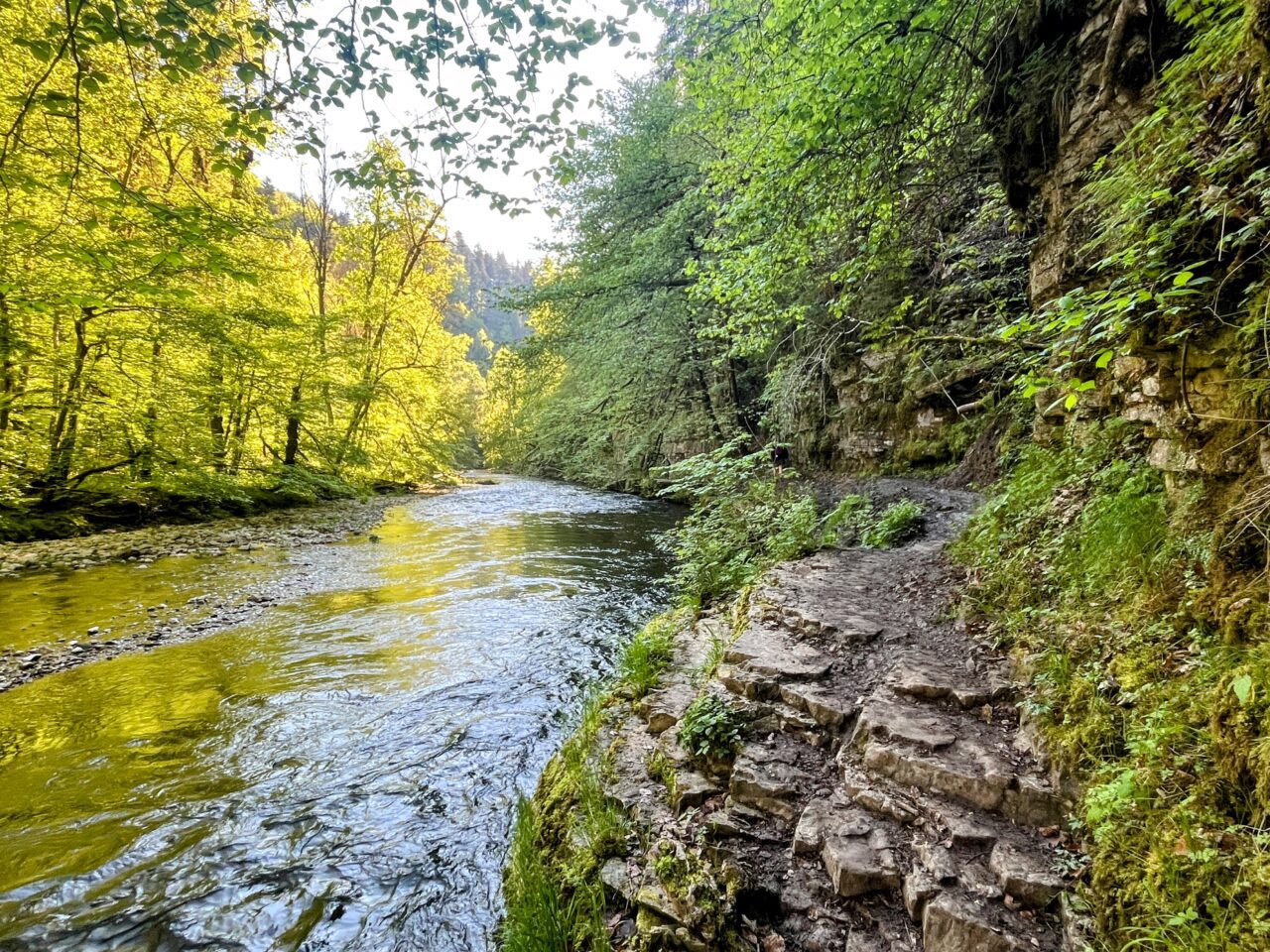 wanderung_schluchtensteig_etappe_2_wutachmuehle_lenzkirch_