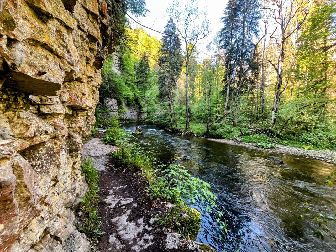 wanderung_schluchtensteig_etappe_2_wutachmuehle_lenzkirch_