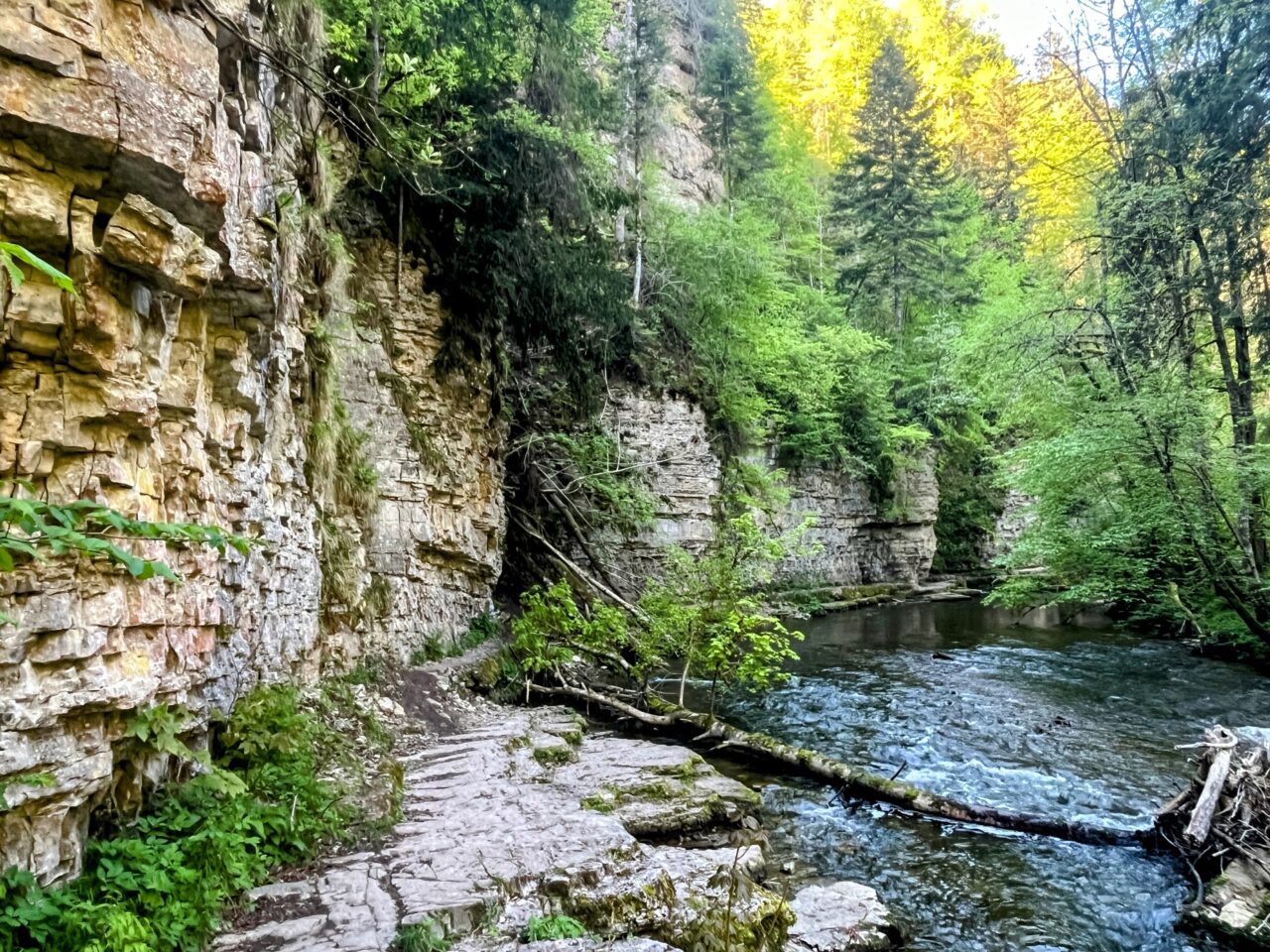 wanderung_schluchtensteig_etappe_2_wutachmuehle_lenzkirch_