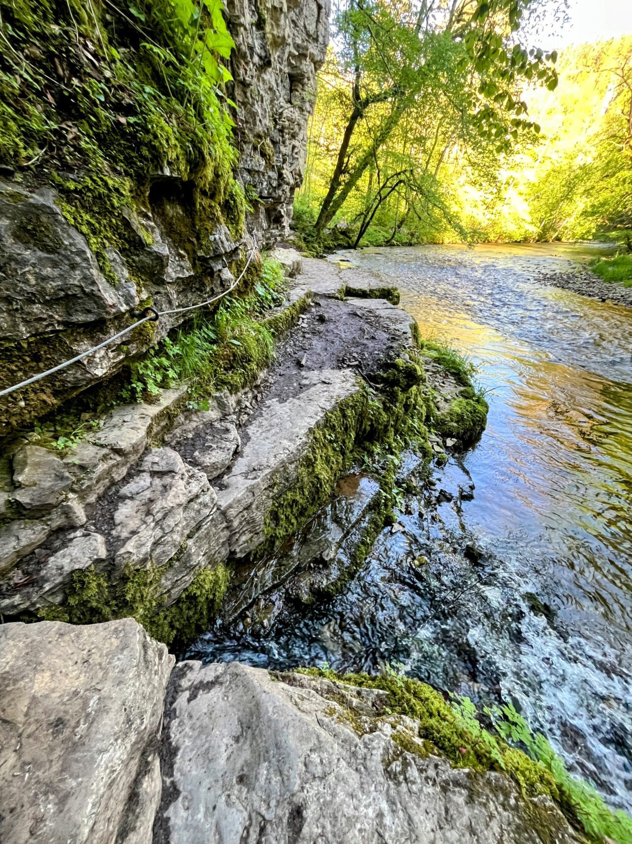 wanderung_schluchtensteig_etappe_2_wutachmuehle_lenzkirch_