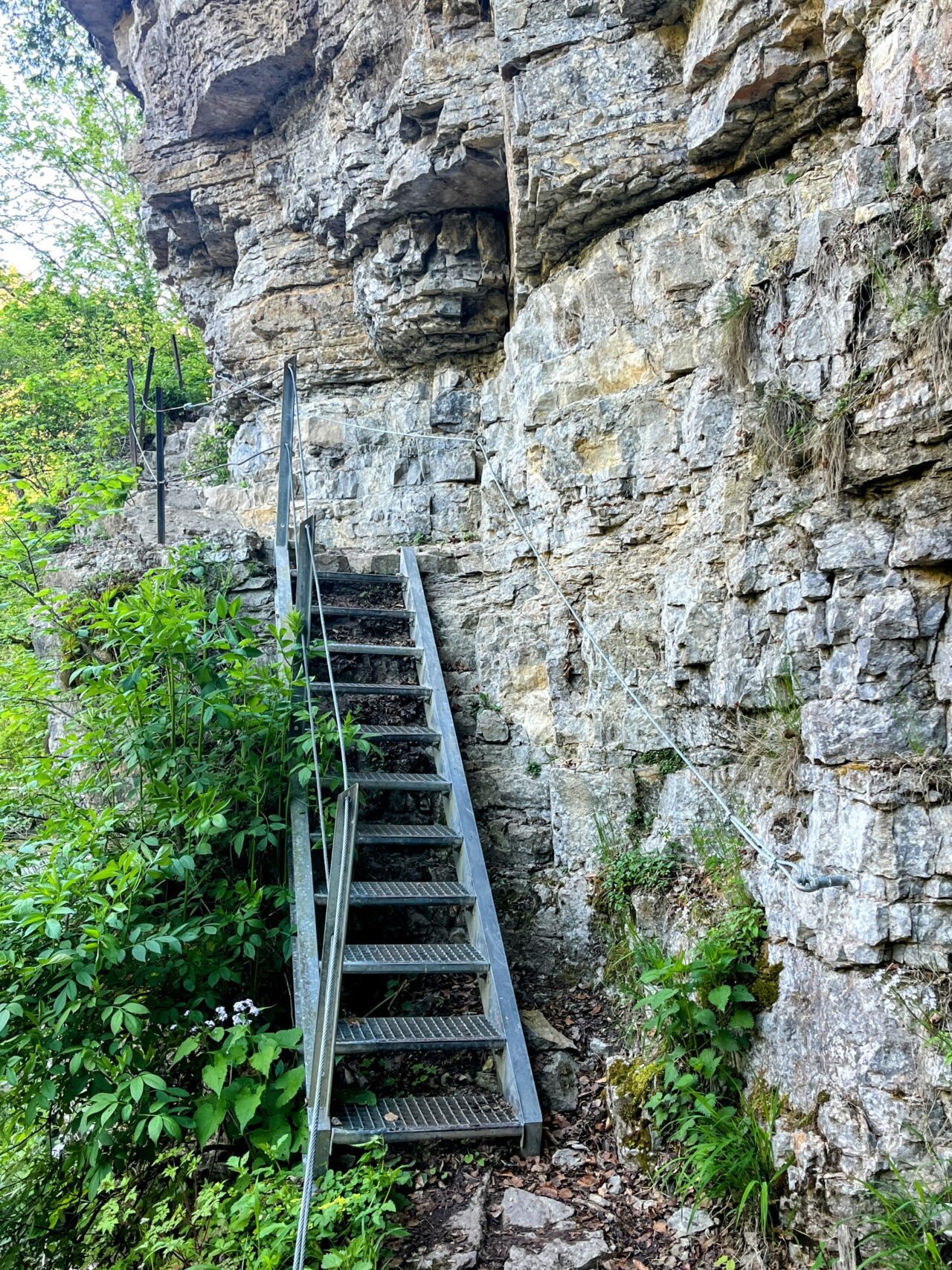 wanderung_schluchtensteig_etappe_2_wutachmuehle_lenzkirch_