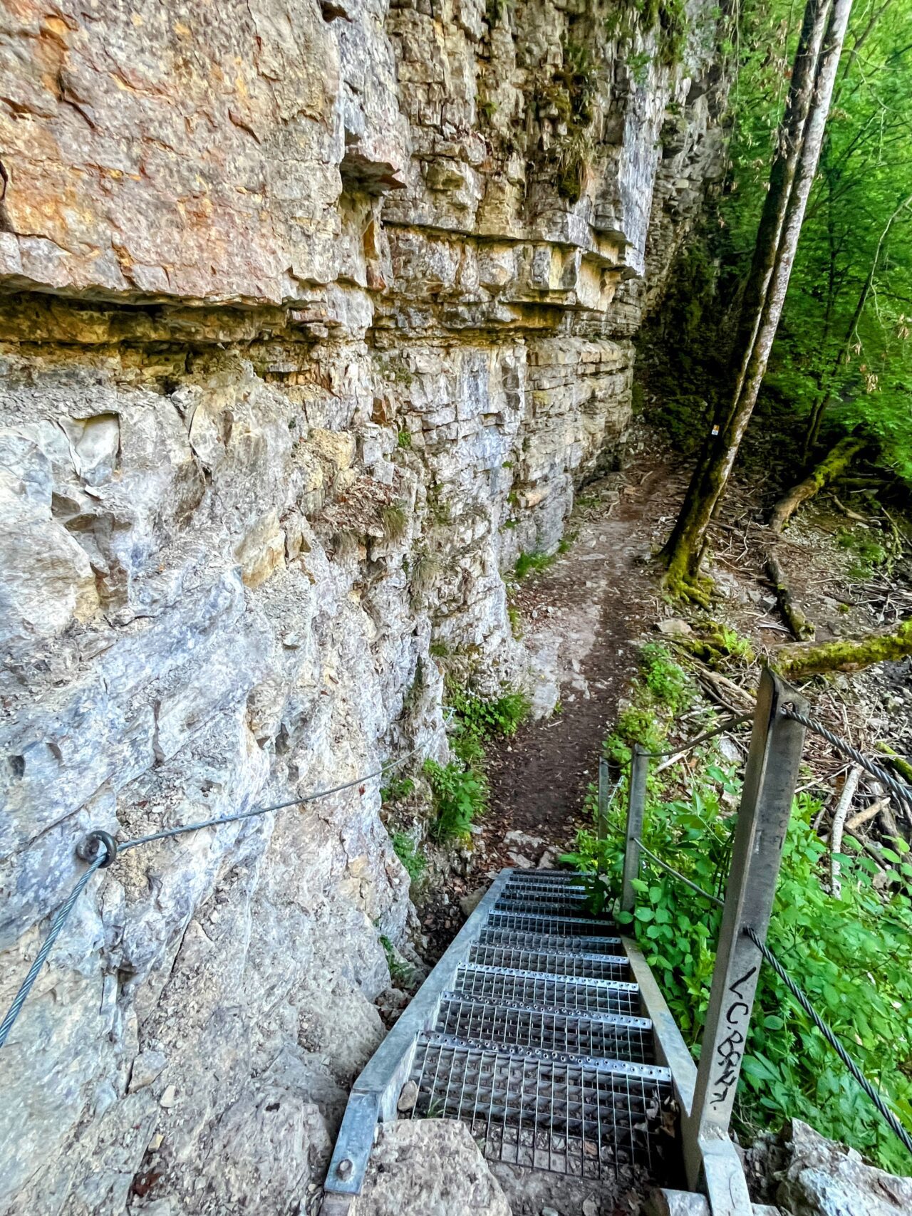 wanderung_schluchtensteig_etappe_2_wutachmuehle_lenzkirch_