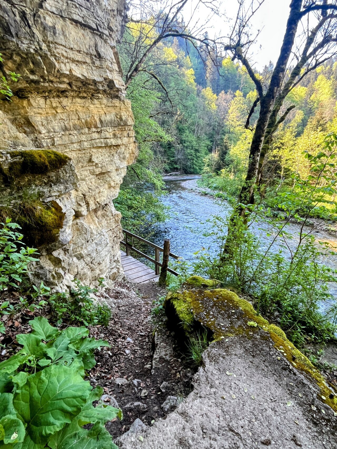 wanderung_schluchtensteig_etappe_2_wutachmuehle_lenzkirch_