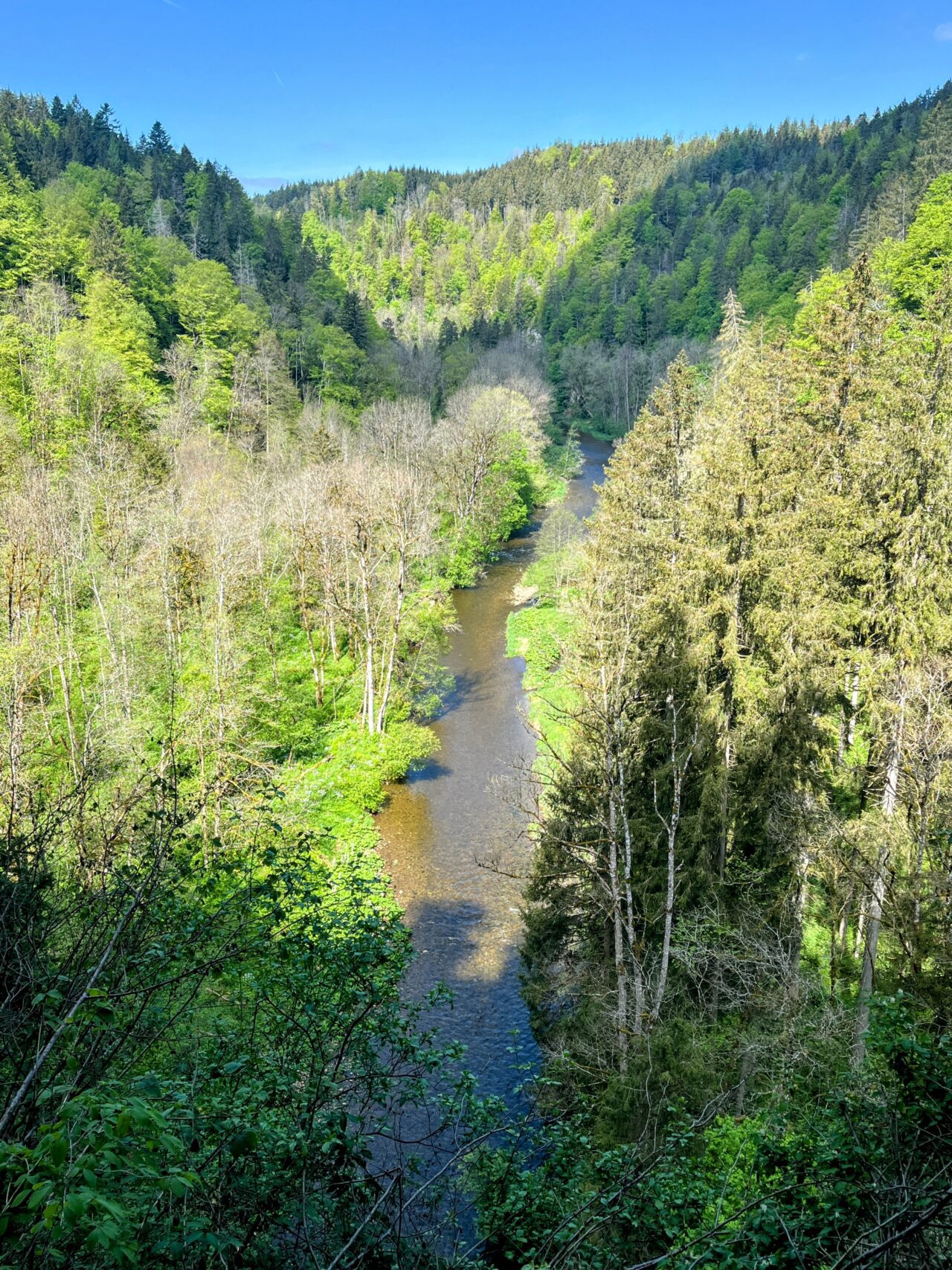 wanderung_schluchtensteig_etappe_2_wutachmuehle_lenzkirch_