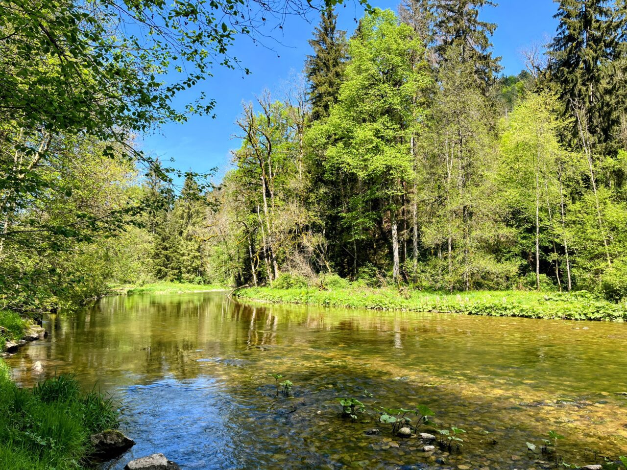 wanderung_schluchtensteig_etappe_2_wutachmuehle_lenzkirch_