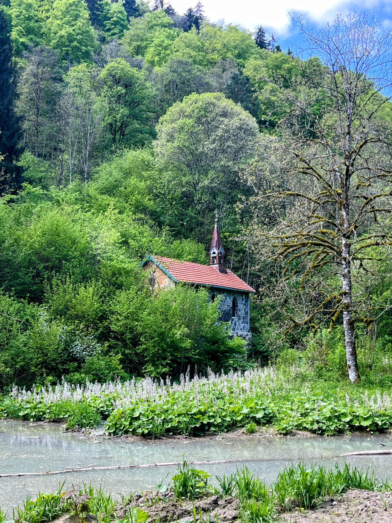 wanderung_schluchtensteig_etappe_2_wutachmuehle_lenzkirch_