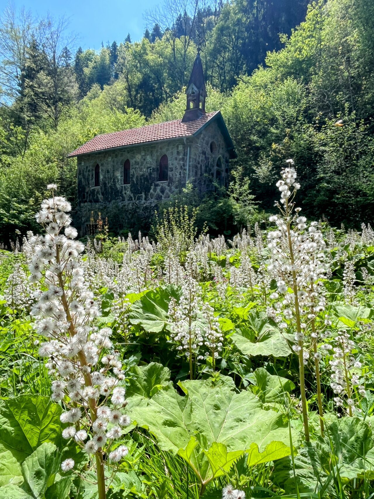 wanderung_schluchtensteig_etappe_2_wutachmuehle_lenzkirch_