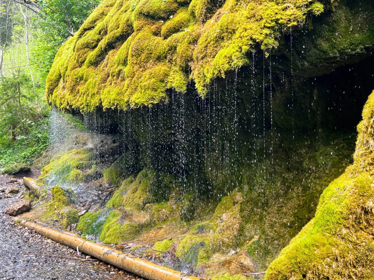 wanderung_schluchtensteig_etappe_2_wutachmuehle_lenzkirch_