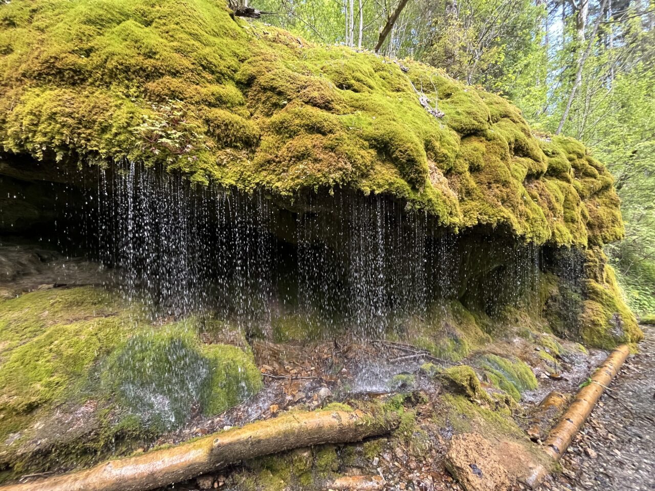 wanderung_schluchtensteig_etappe_2_wutachmuehle_lenzkirch_