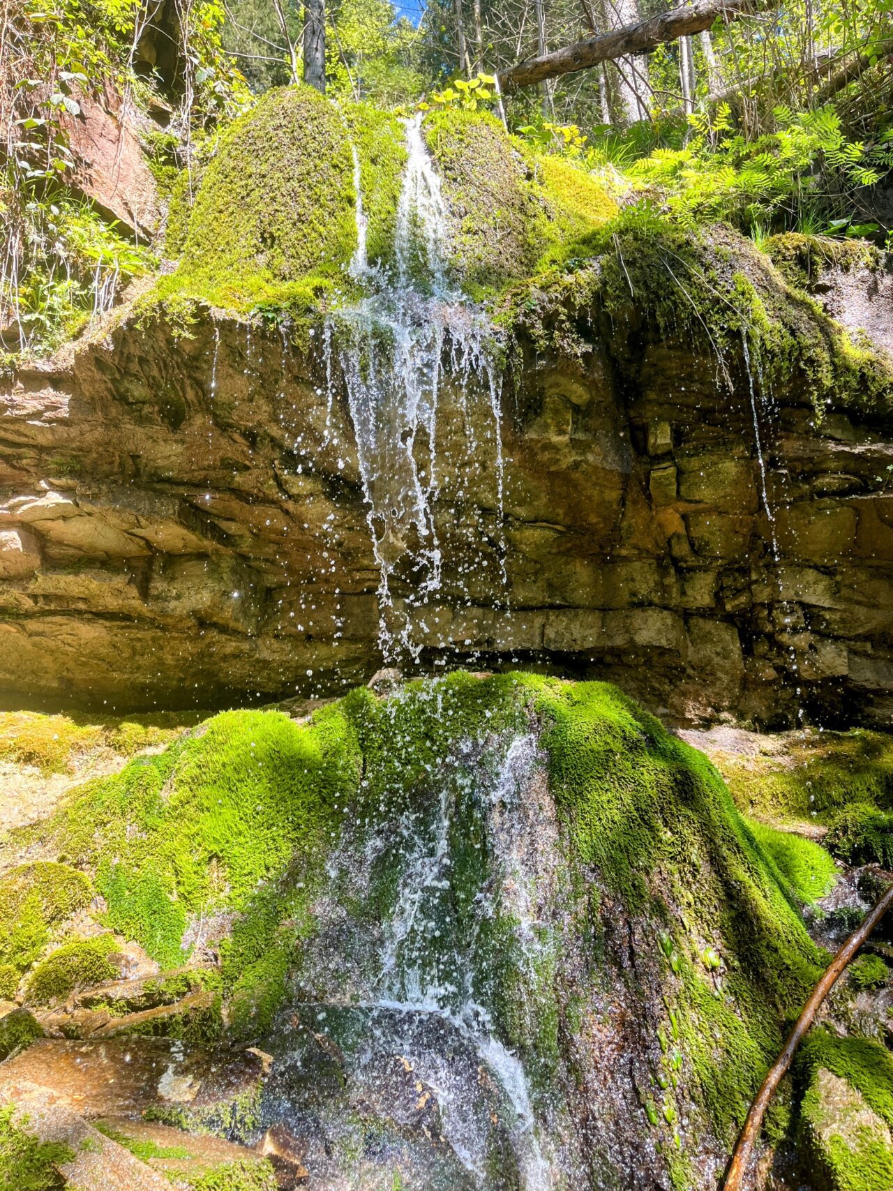 wanderung_schluchtensteig_etappe_2_wutachmuehle_lenzkirch_