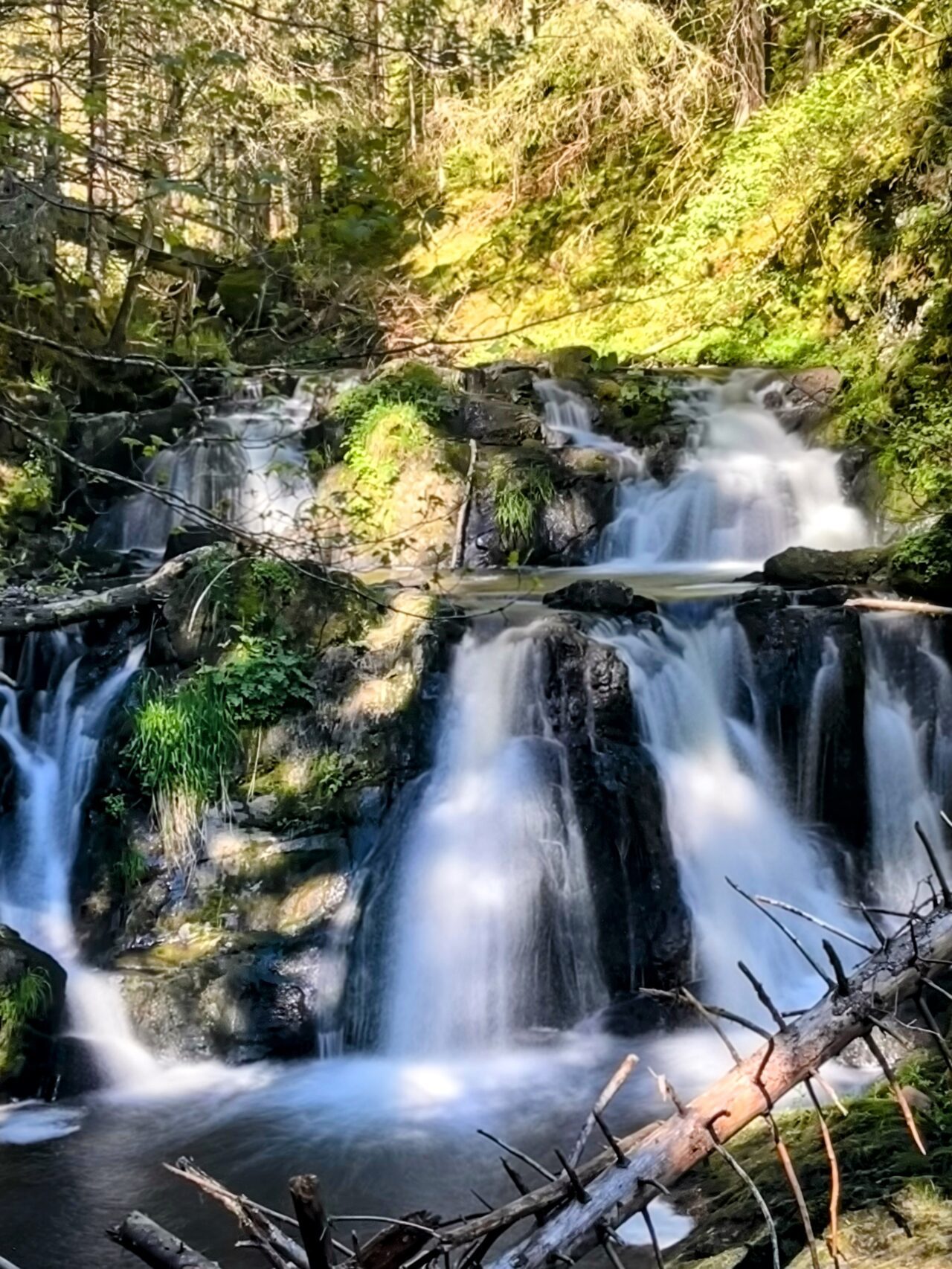 wanderung_schluchtensteig_etappe_2_wutachmuehle_lenzkirch_