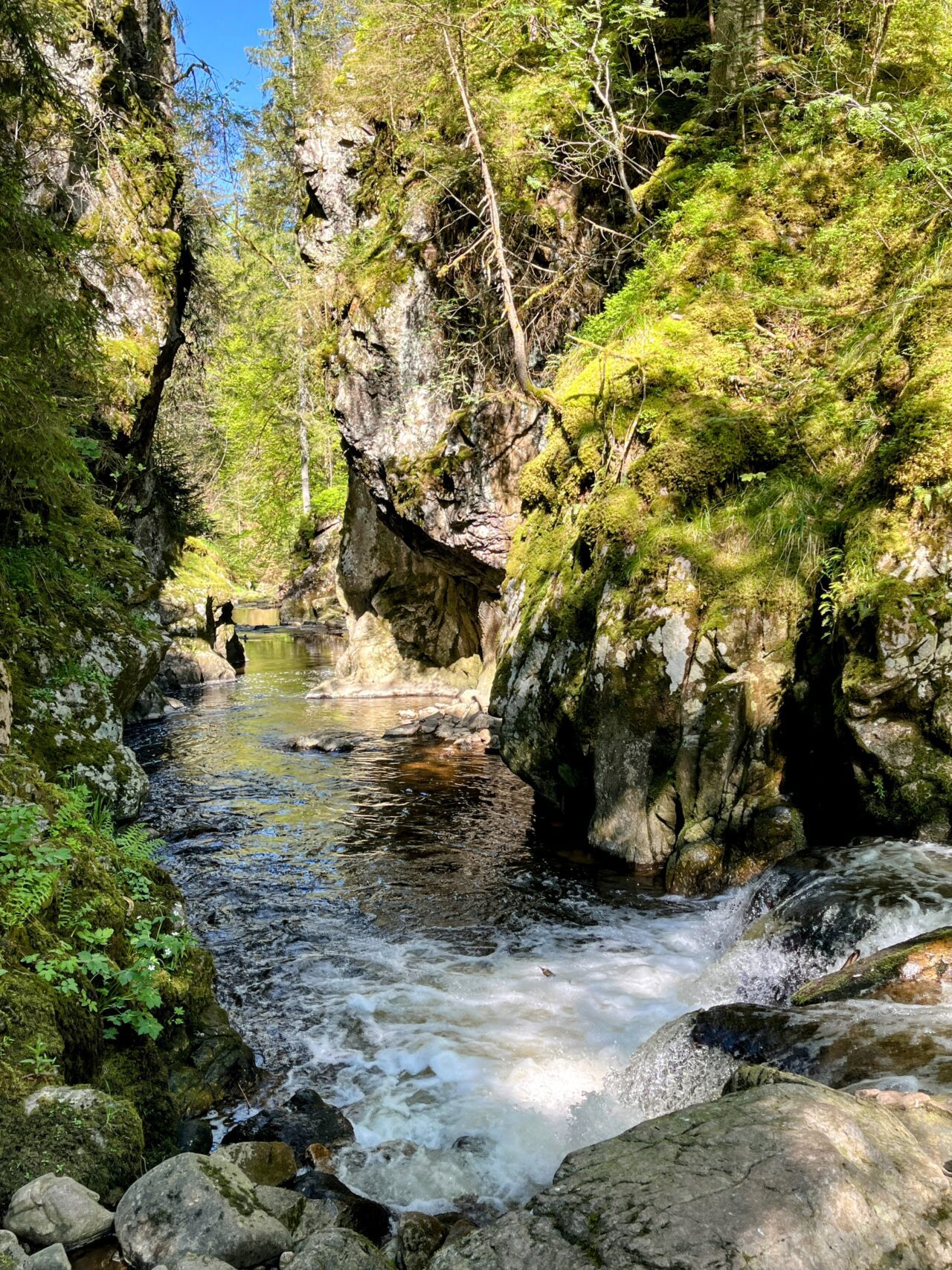 wanderung_schluchtensteig_etappe_2_wutachmuehle_lenzkirch_