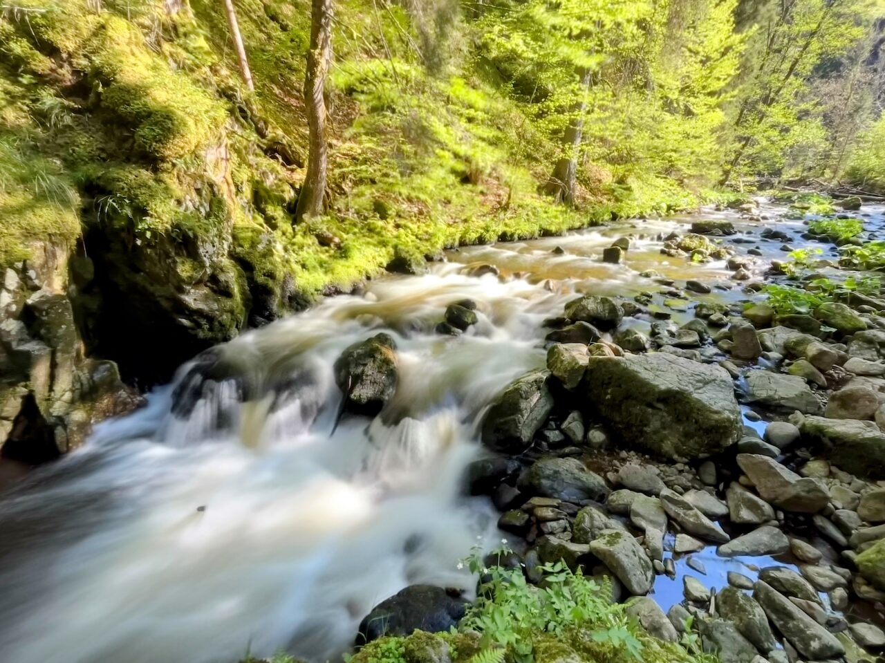 wanderung_schluchtensteig_etappe_2_wutachmuehle_lenzkirch_