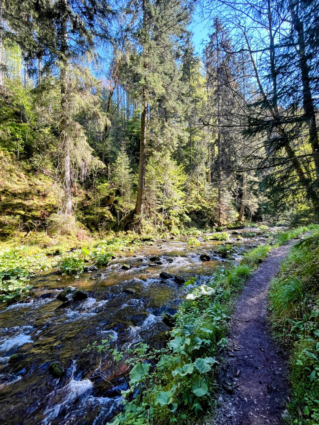 wanderung_schluchtensteig_etappe_2_wutachmuehle_lenzkirch_