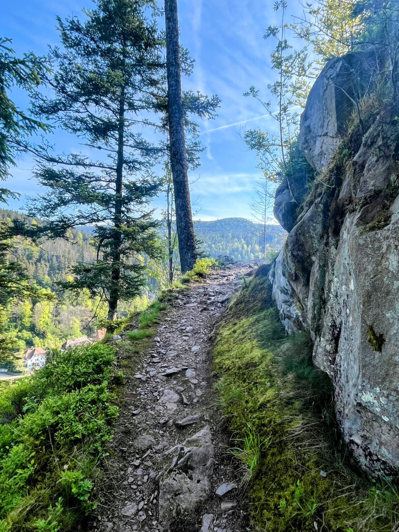 wanderung_schluchtensteig_etappe_4_st_blasien_todtmoos_