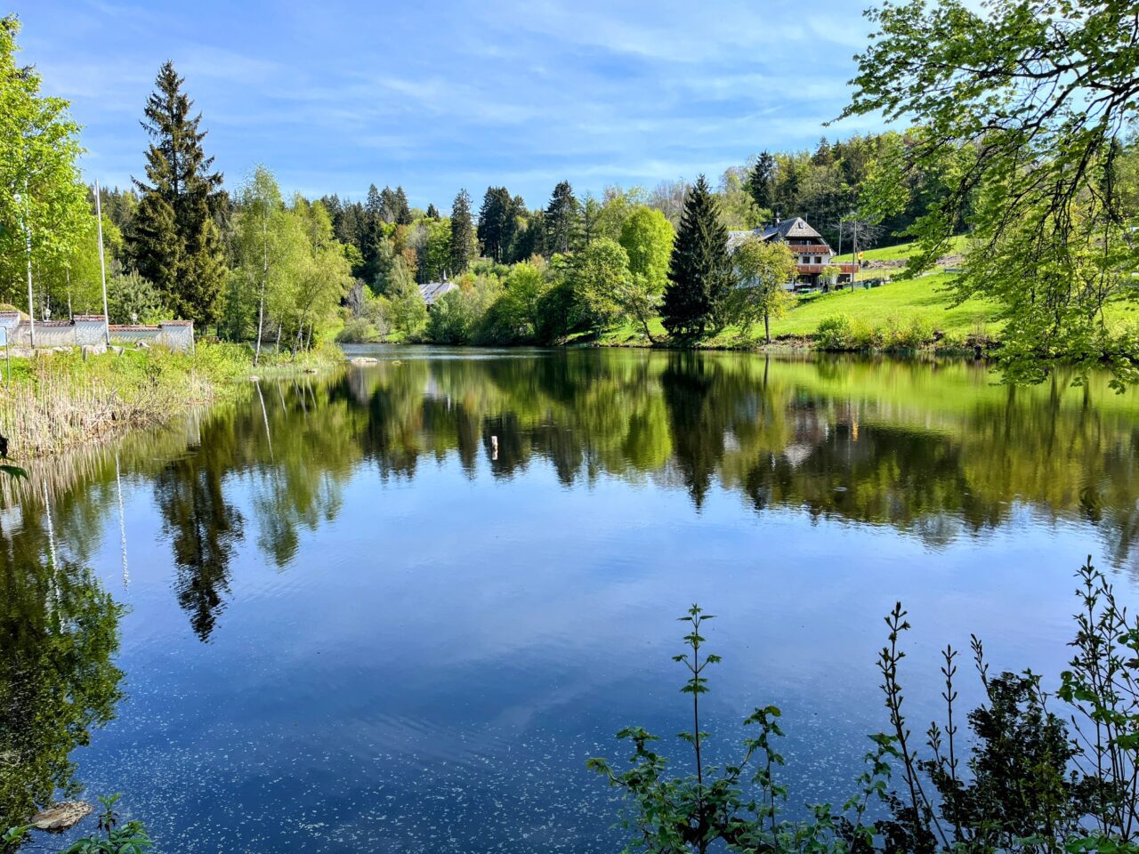 wanderung_schluchtensteig_etappe_4_st_blasien_todtmoos_