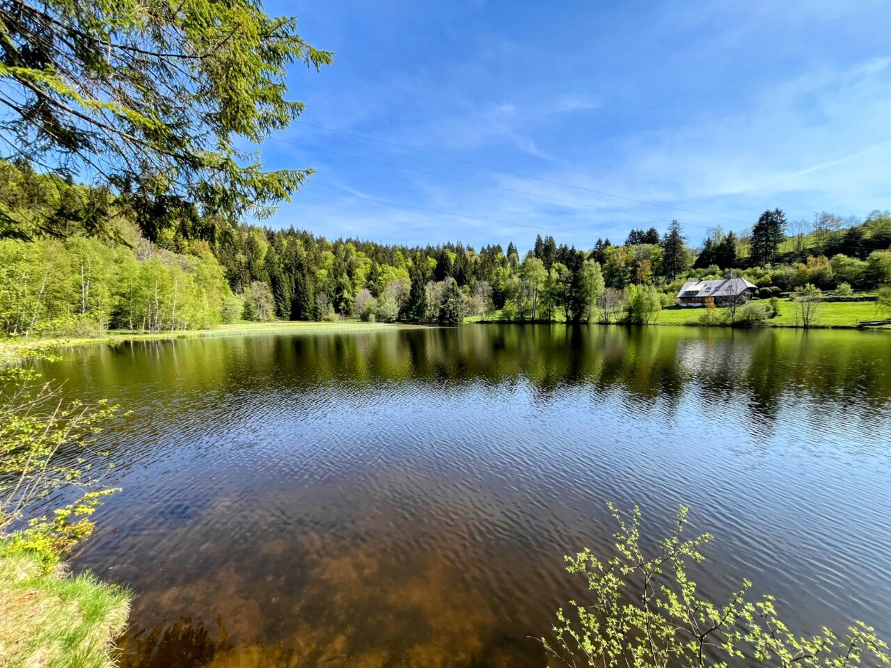 wanderung_schluchtensteig_etappe_4_st_blasien_todtmoos_