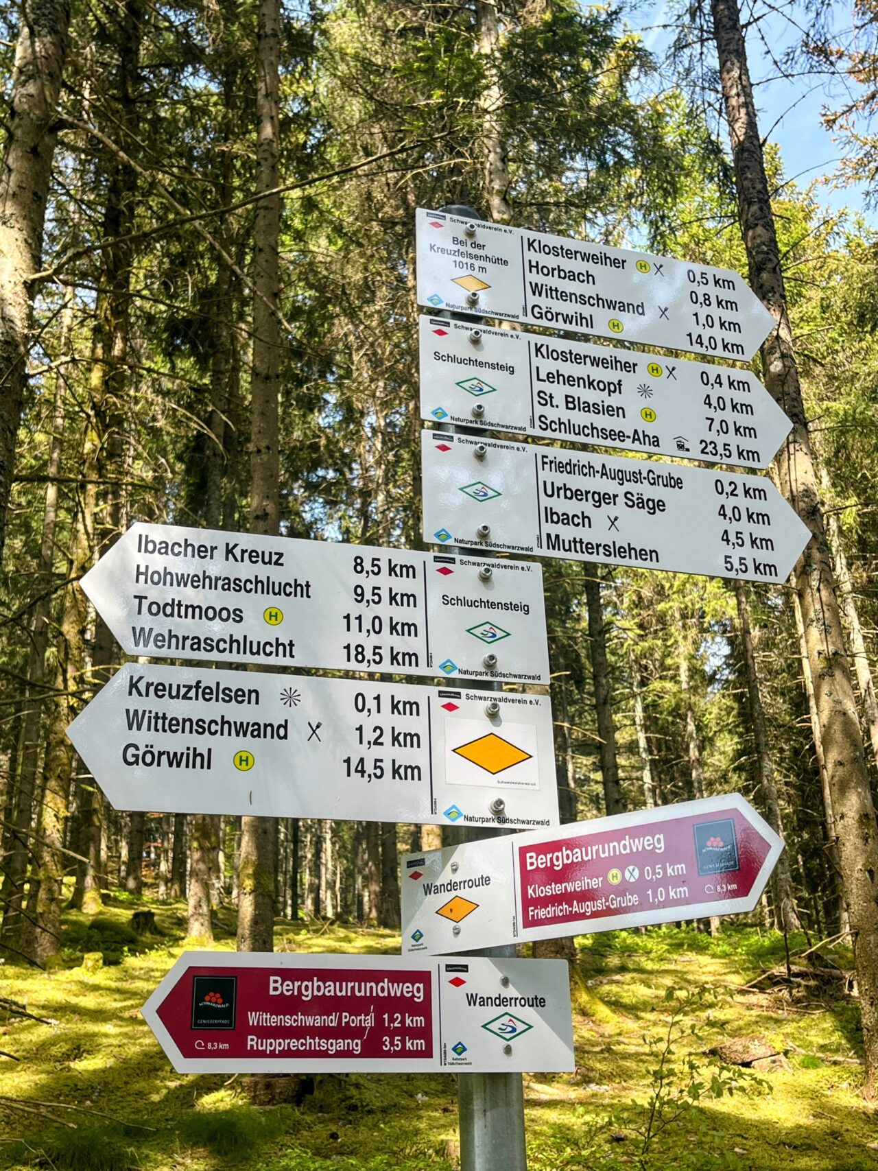 wanderung_schluchtensteig_etappe_4_st_blasien_todtmoos_