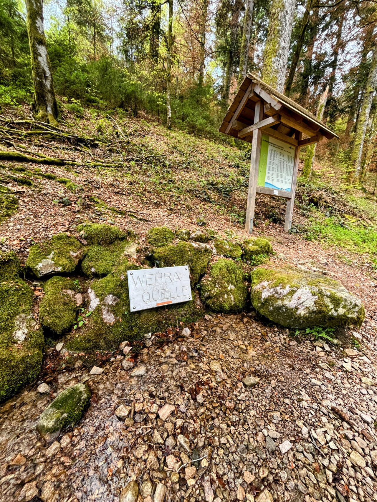 wanderung_schluchtensteig_etappe_4_st_blasien_todtmoos_