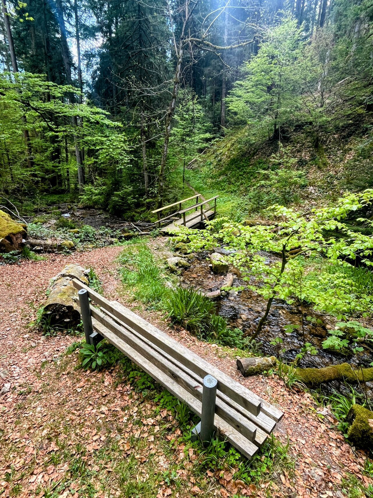 wanderung_schluchtensteig_etappe_4_st_blasien_todtmoos_