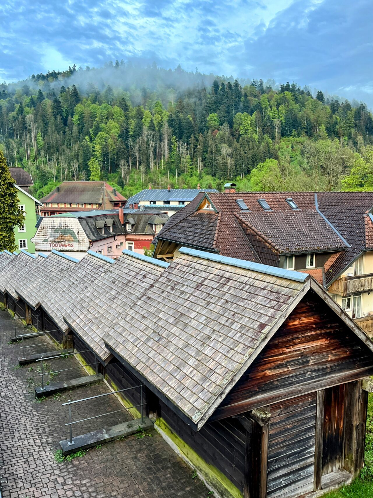 wanderung_schluchtensteig_etappe_4_st_blasien_todtmoos_