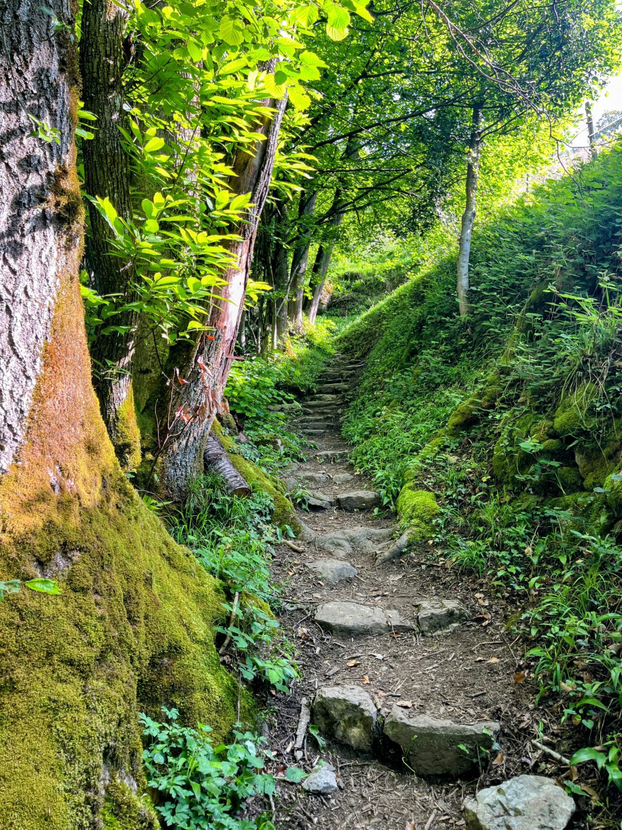 Wanderung_Brunnen_Urmeliberg_timpel_