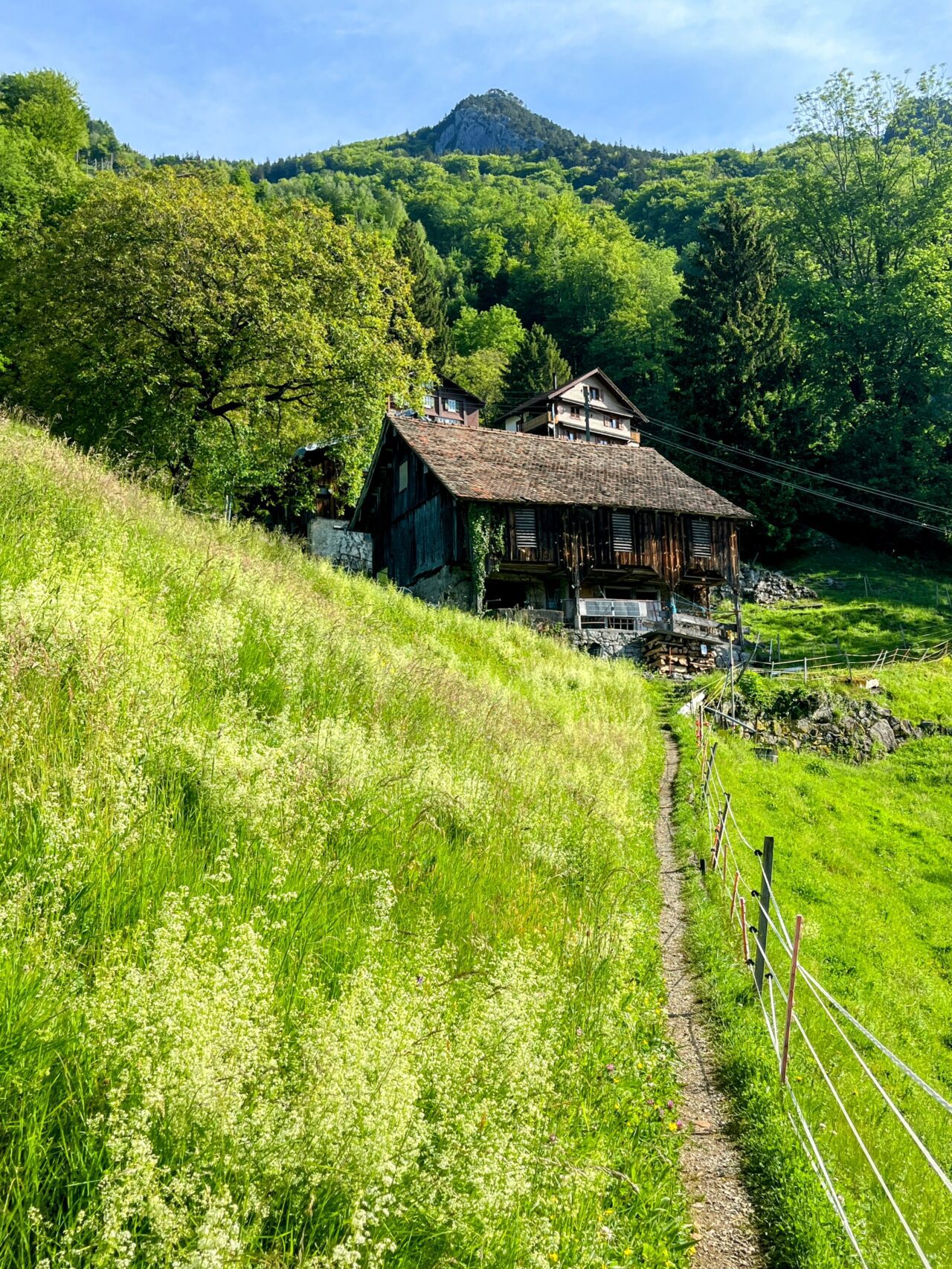 Wanderung_Brunnen_Urmeliberg_timpel_