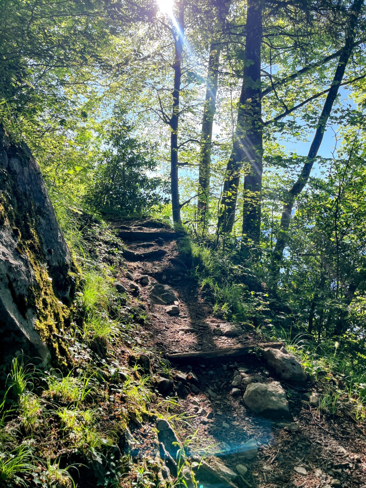 Wanderung_Brunnen_Urmeliberg_timpel_