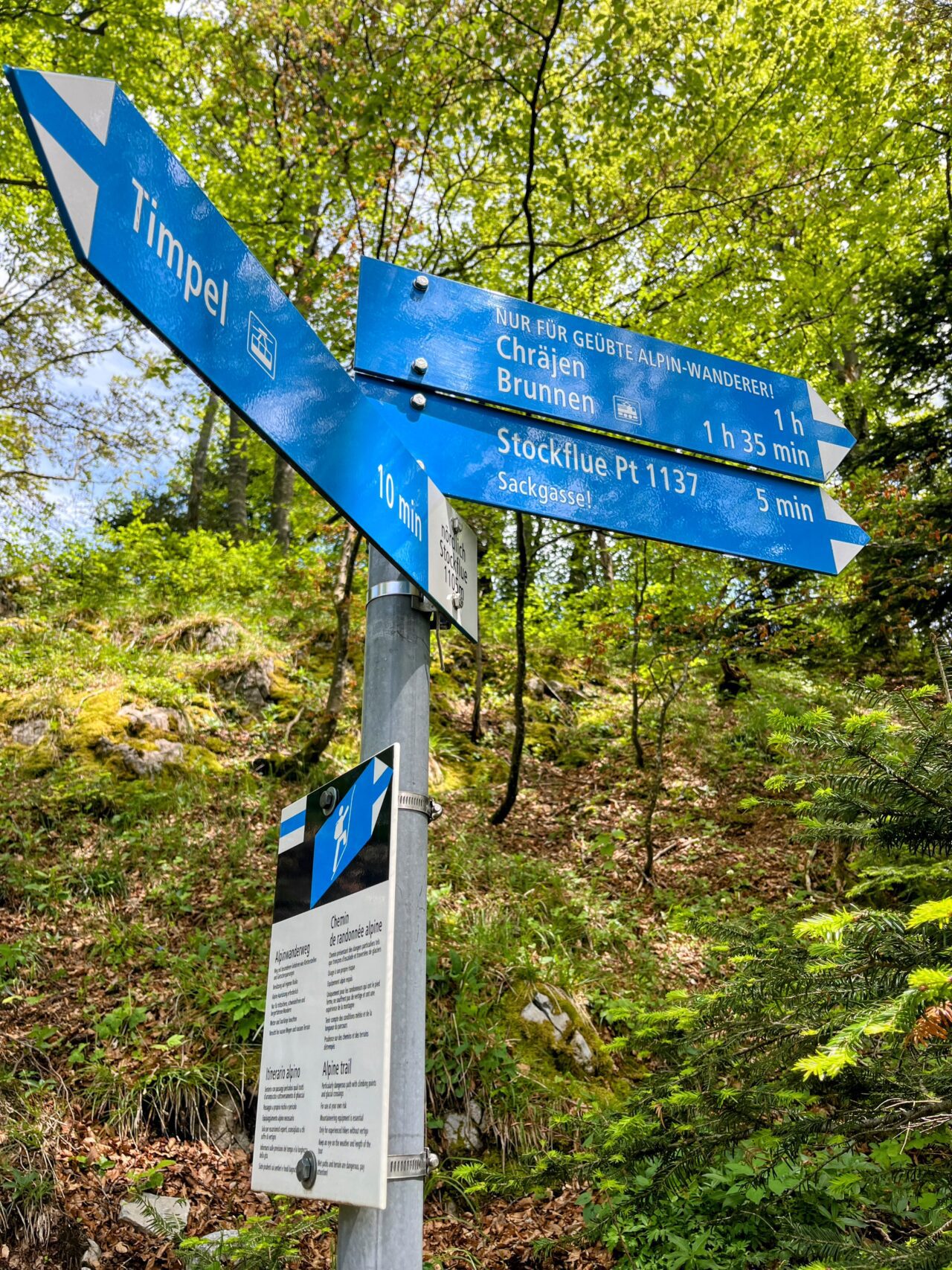 Wanderung_Brunnen_Urmeliberg_timpel_