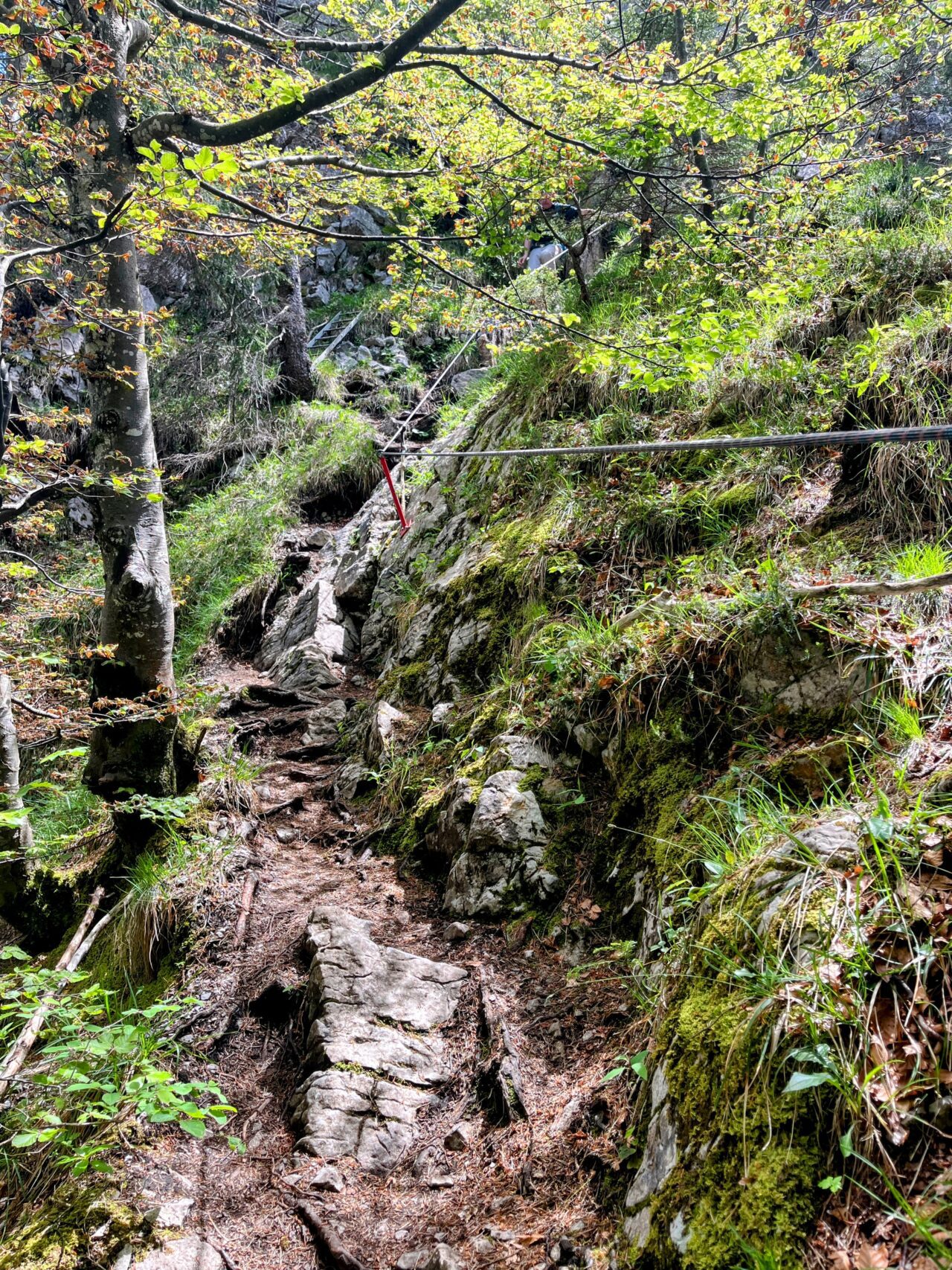 Wanderung_Brunnen_Urmeliberg_timpel_